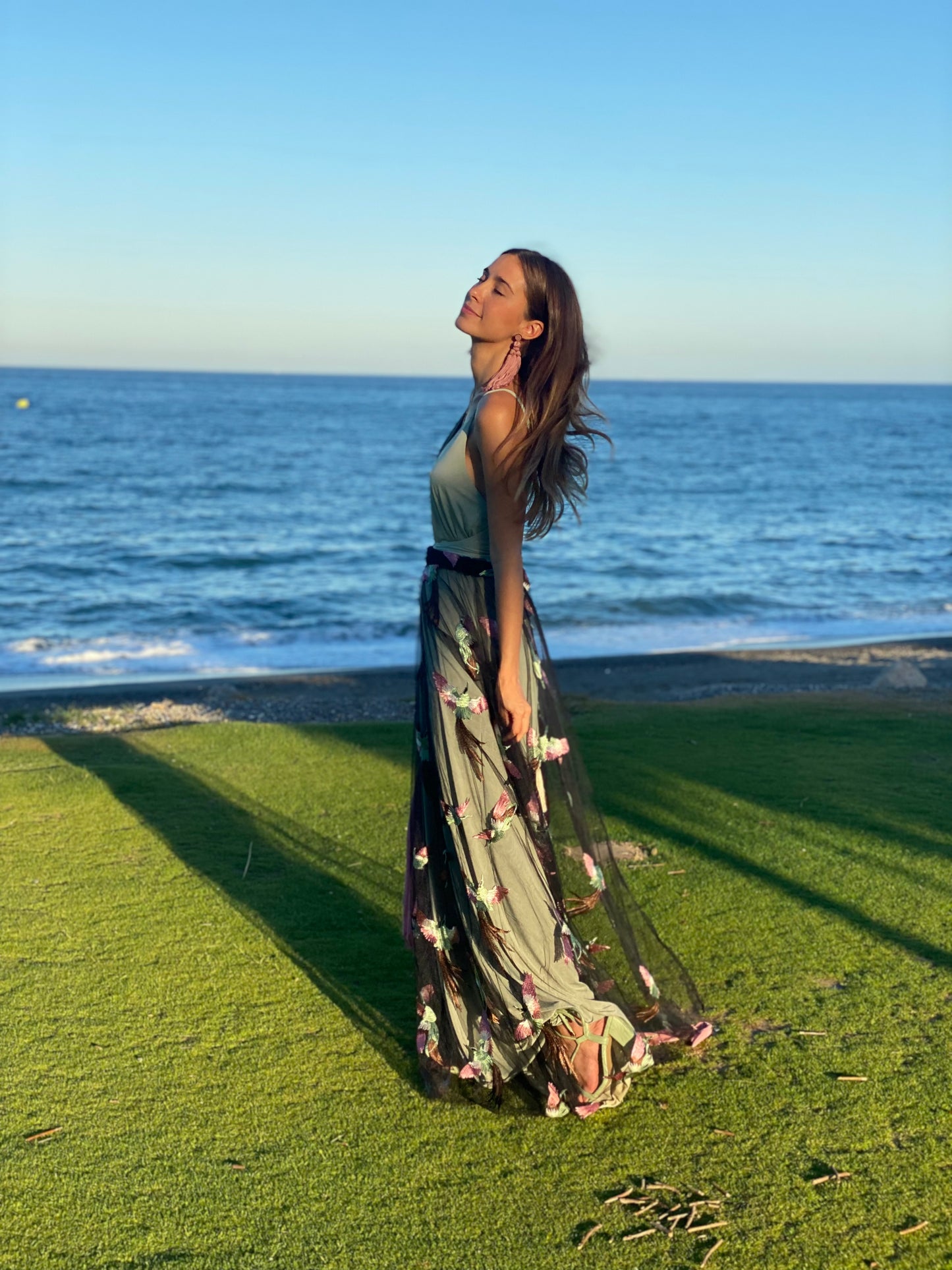 Hummingbird PV Cover ♡